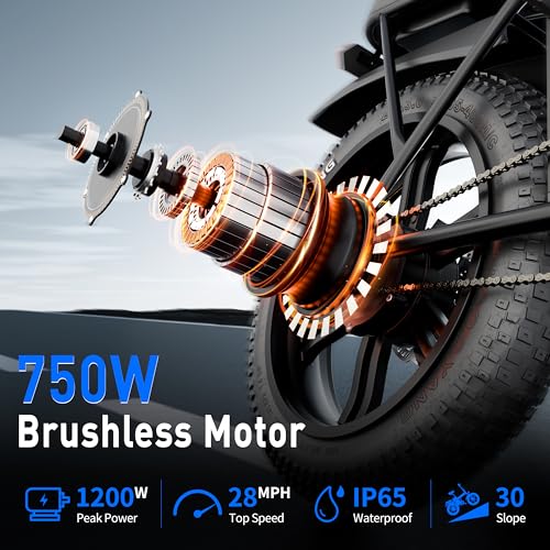 WOLBOOT Electric Bike Long Range 100 Miles